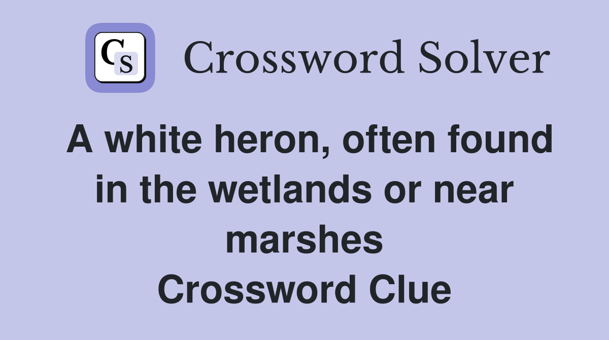 A white heron, often found in the wetlands or near marshes Crossword